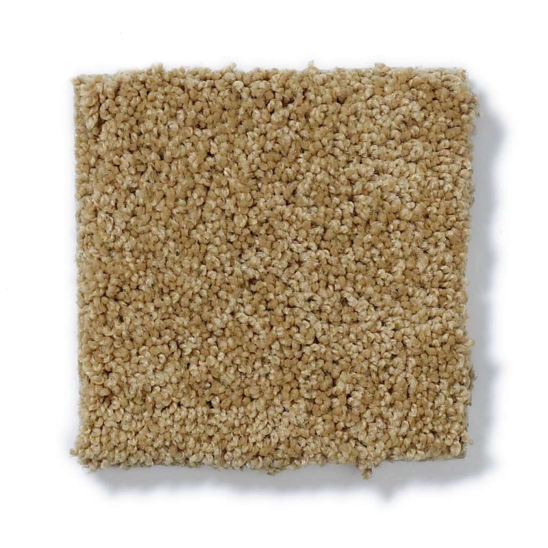 Inspired By Iii Honey Pot Nylon Carpet - Textured