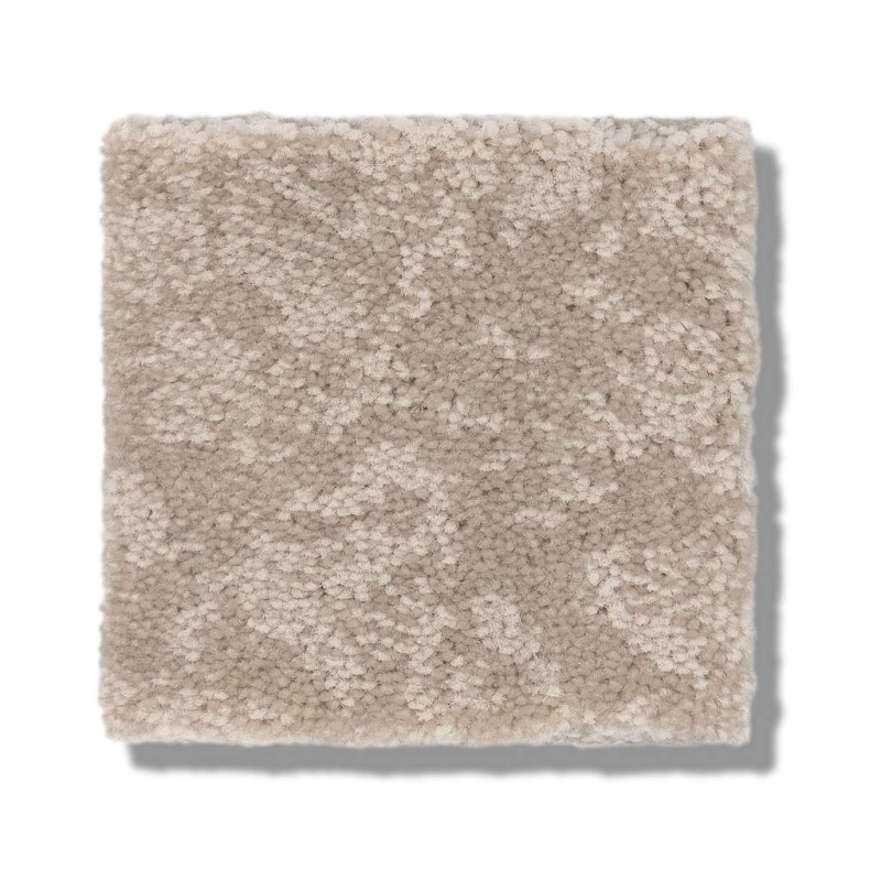 Caress By Shaw Free Spirit Sandstone Nylon Carpet