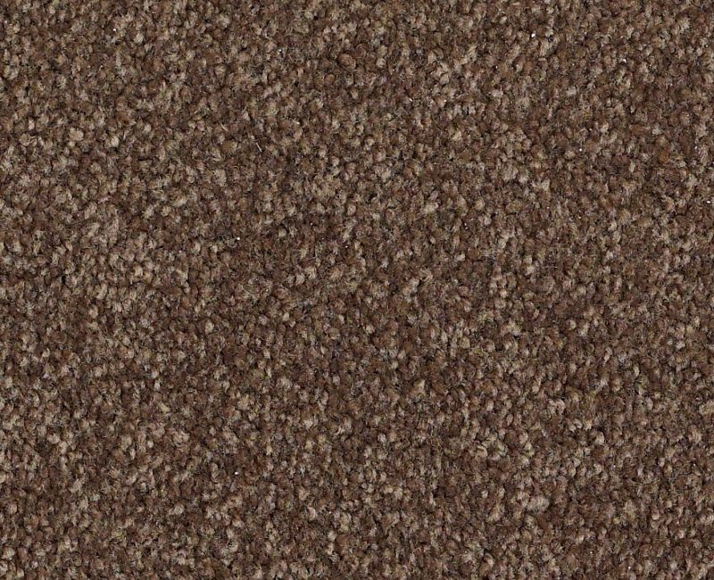 Anso Open II (S) Sedona Nylon Carpet - Textured