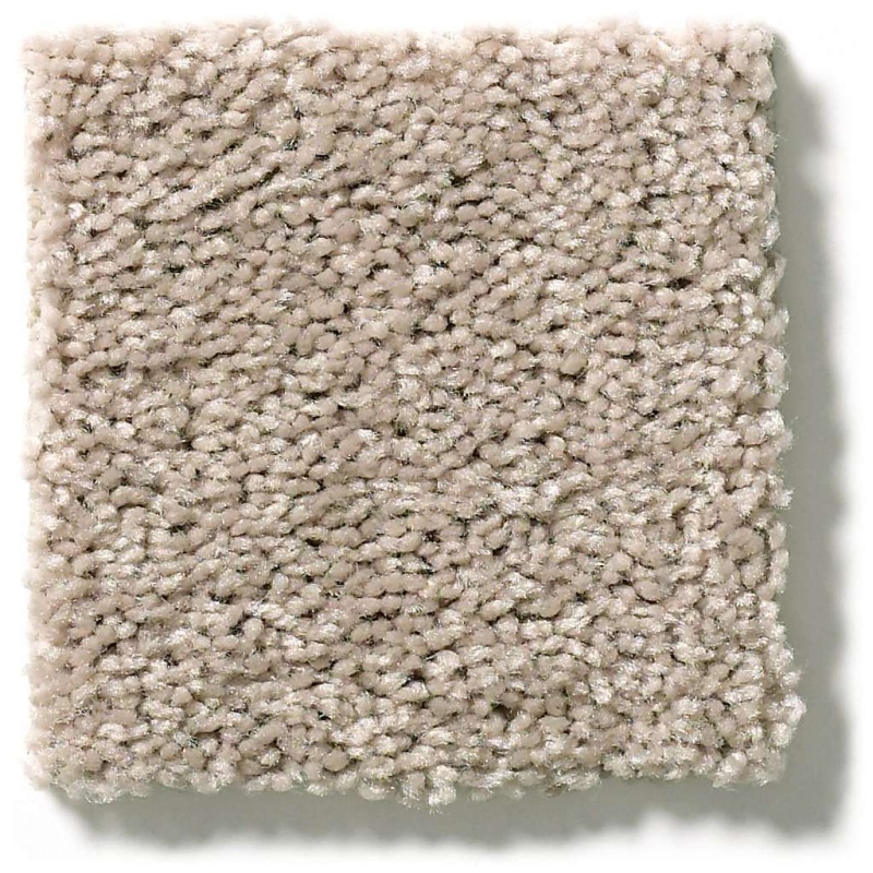 Queen Point Guard 15' Bare Mineral Polyester Carpet - Textured