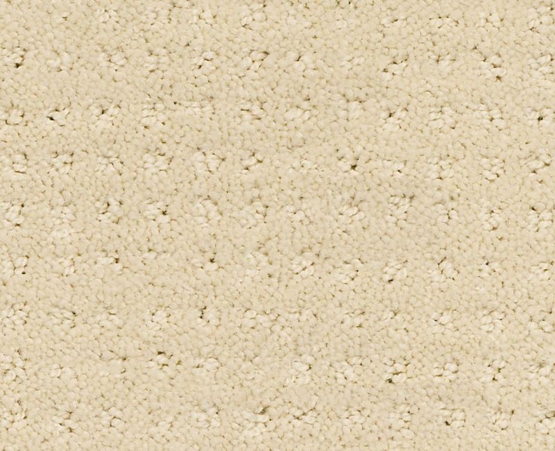 Detailed Style Pattern Candlewick Glow Nylon Carpet