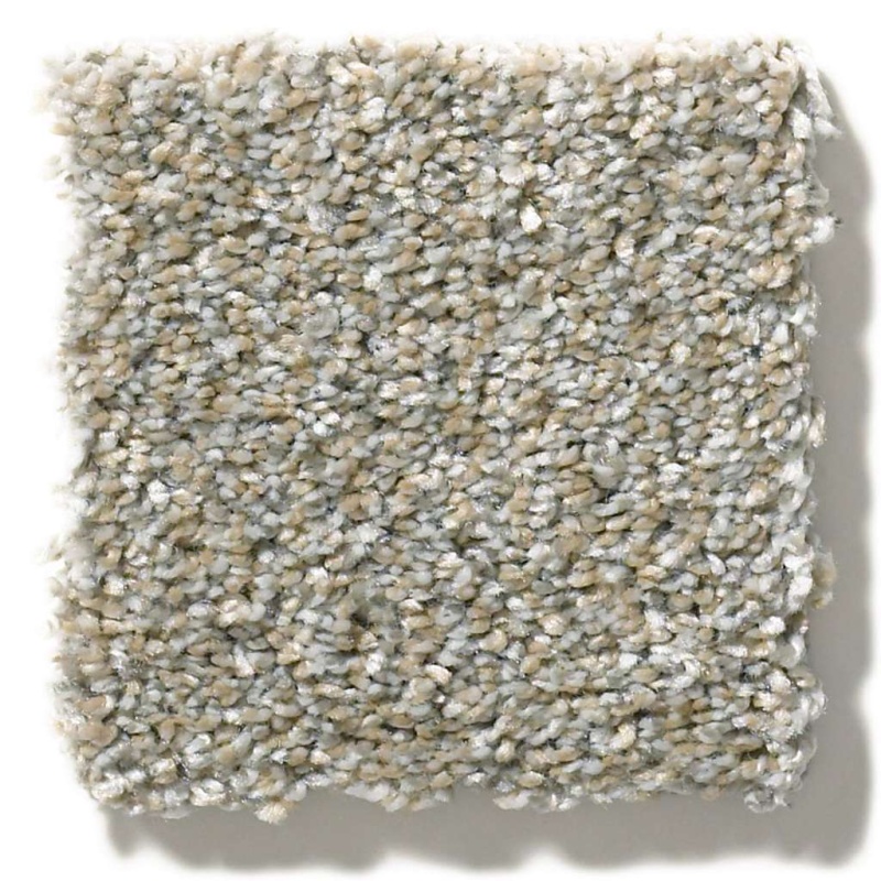 Simply The Best All Over It Ii Misty Harbor Polyester Carpet - Textured
