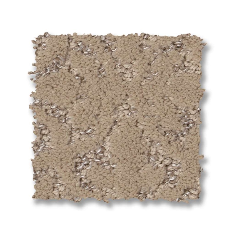 Pet Perfect Plus Light Impressions Worn Path Polyester Carpet