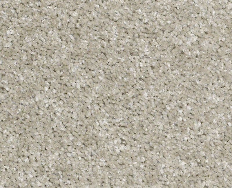 Elizabethton Loft Nylon Area Rug - Textured