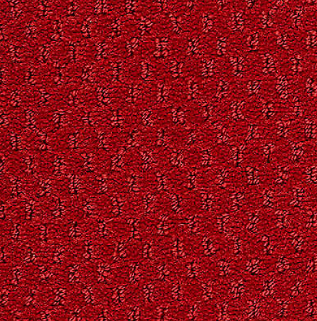 Influencer Classic Update Royal Dynasty Nylon Carpet - Loop
