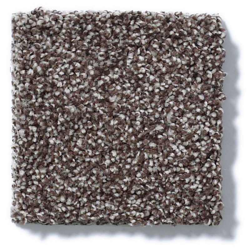 You Know It Fudge Ripple Nylon Carpet - Textured