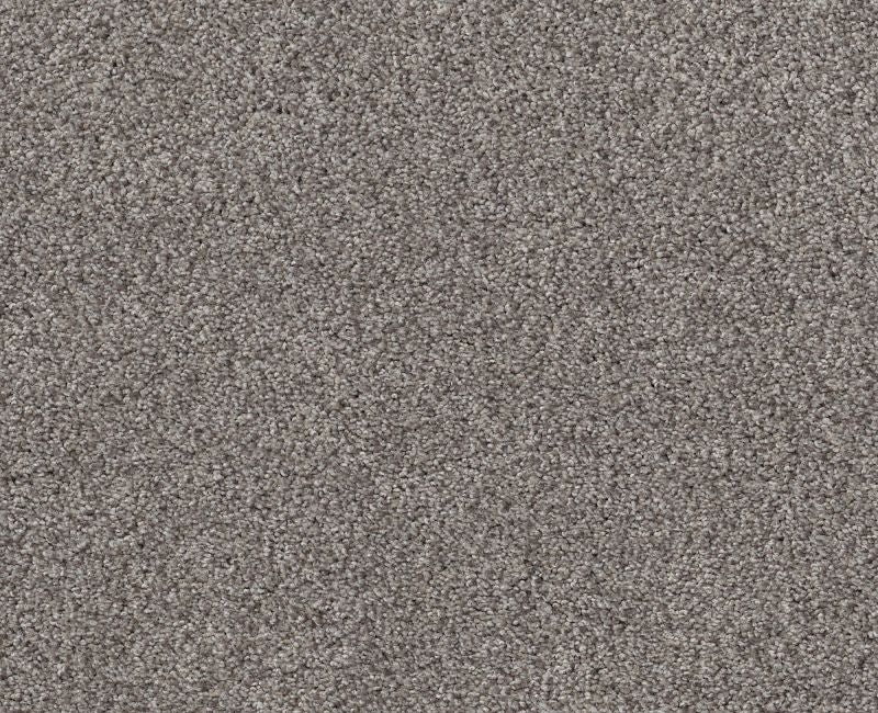 Simple Life Century Taupe Nylon Carpet - Textured