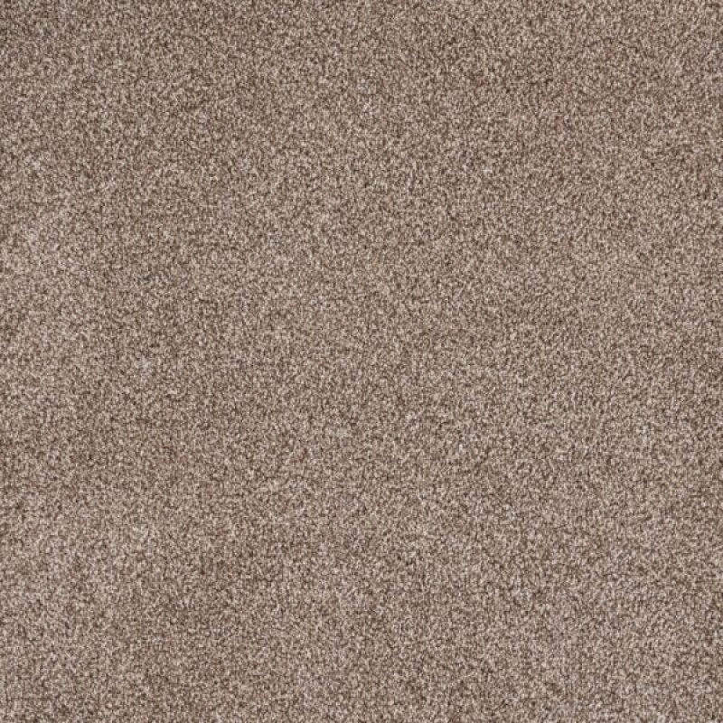 Eternal Comfort Hazelnut Polypropylene Carpet - Textured