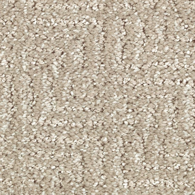 Natural Treasure Overcast Triexta Carpet - Pattern