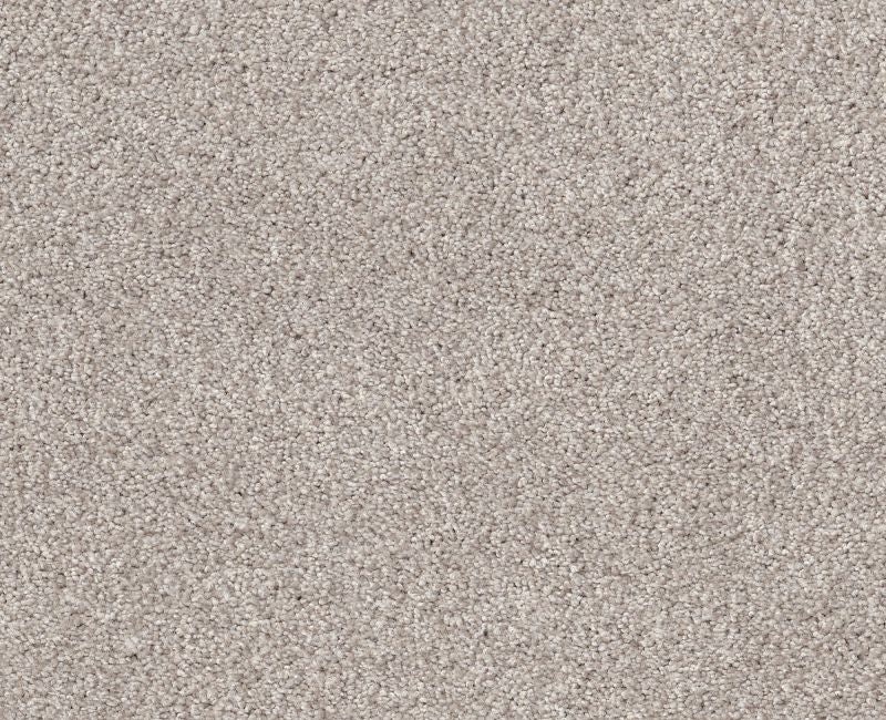 Simple Life Brushed Aluminu Nylon Carpet - Textured