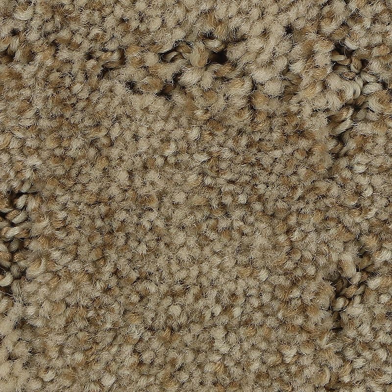 Elaborate Appeal Cancun Polyester Carpet - Pattern