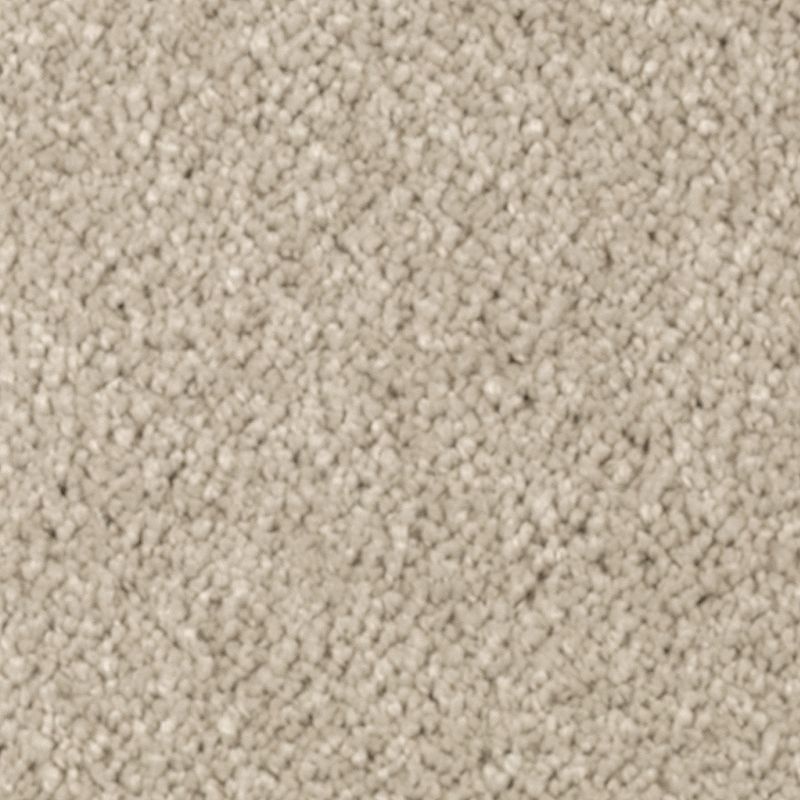 Natural Splendor Ii Sand Dollar Triexta Carpet - Textured