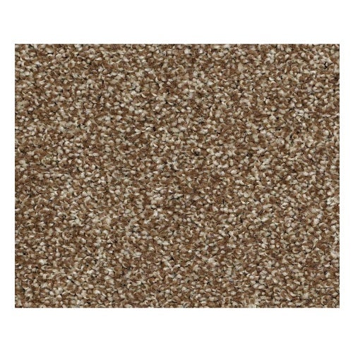 Striking Travertine Nylon Carpet - Textured