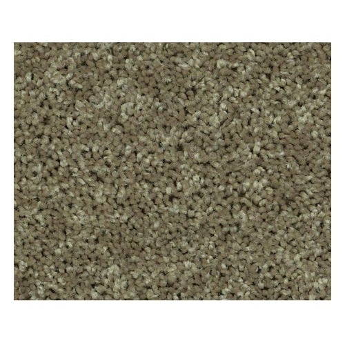 Qs216 Aloe Polyester Carpet - Textured