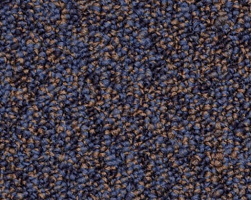 No Limits 26 Expansive Nylon Carpet - Loop