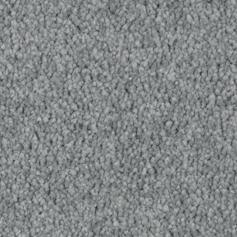 Natural Splendor Ii Brookside Triexta Carpet - Textured