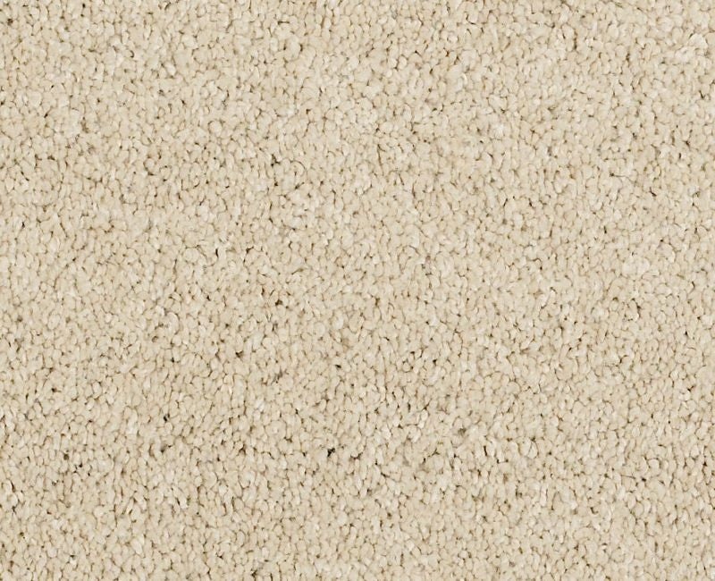 Pelotage Ii Yearling Nylon Carpet - Textured