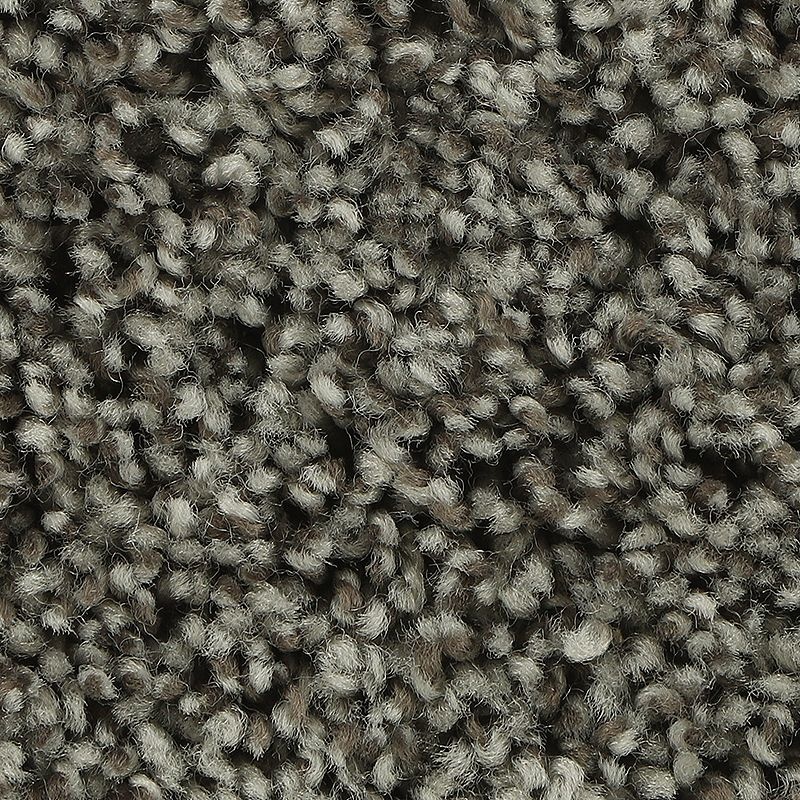 Soft Aspect Dorian Polyester Carpet - Textured