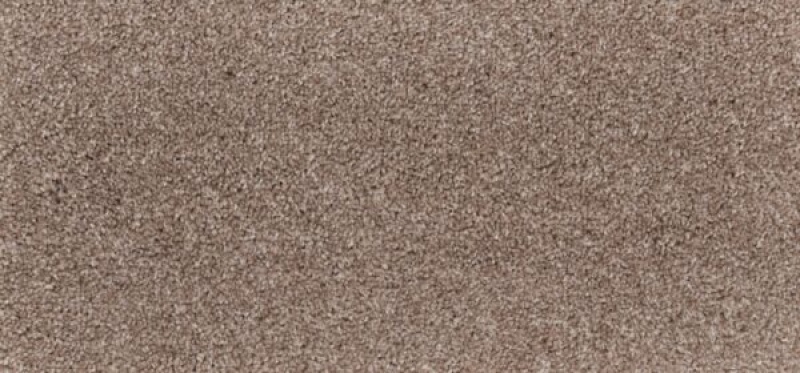 New Foundation Bungalow Polypropylene Carpet - Textured
