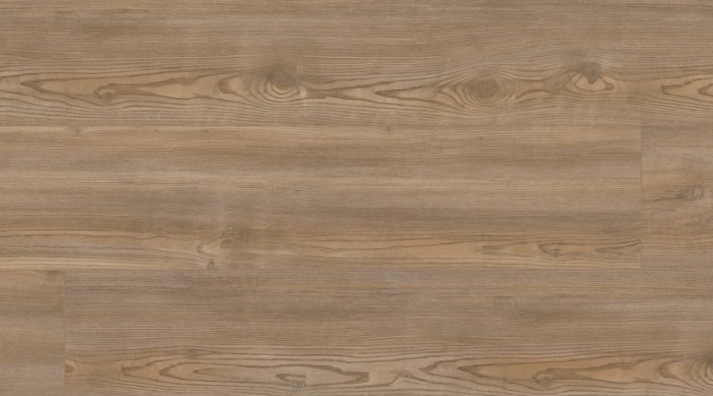 Coretec Plus Premium Treasure Pine Luxury Vinyl Plank Flooring
