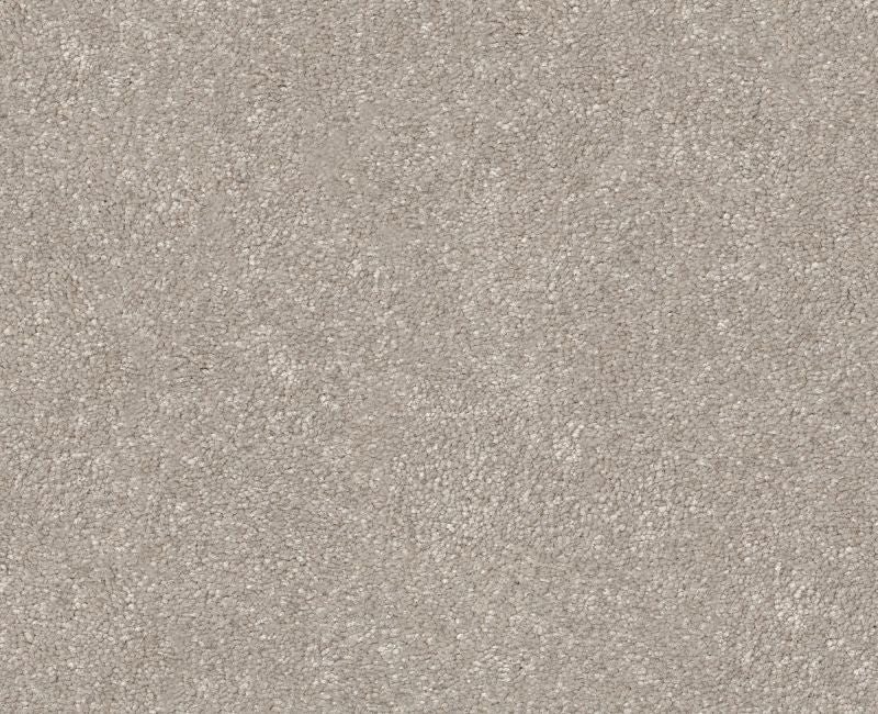 Off The Leash I 15 Sculpture Polyester Carpet - Loop