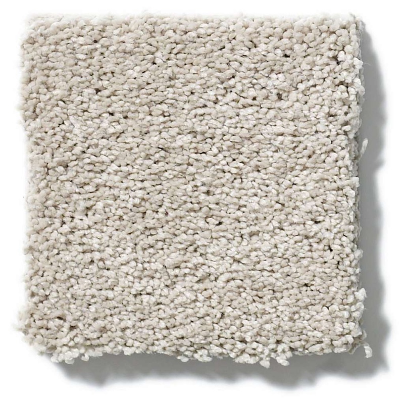 Caress By Shaw Quiet Comfort Classic I Sterling Nylon Carpet - Textured