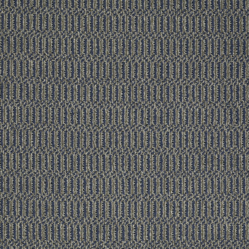 Sourcebook Iii On Site Roger That Nylon Carpet - Textured