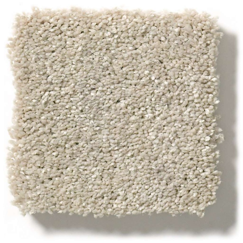 Pet Perfect Plus Basic Rules Arctic Fox Polyester Carpet - Textured
