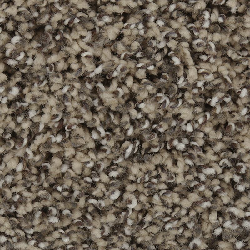 Exquisite Character Artisan Hue Triexta Carpet – Textured