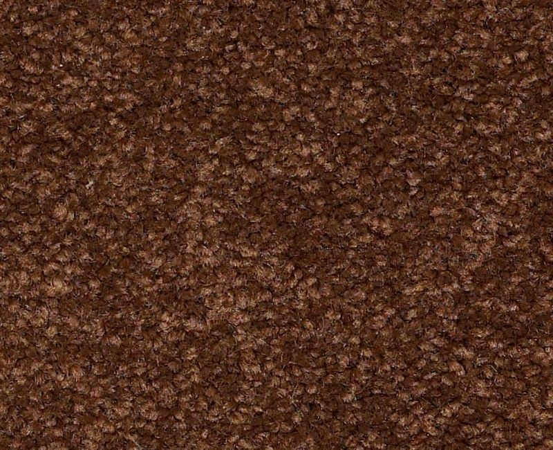 Matira Beach Cocoa Nylon Carpet - Textured