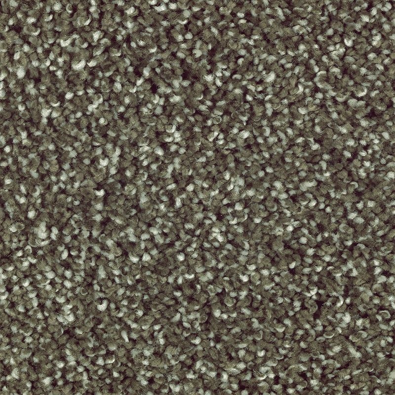 Natural Refinement I Pine Needle Triexta Carpet - Textured