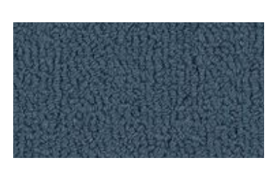 Color Accents Bl Ink Nylon Carpet - Loop