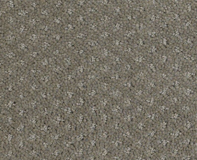 Gentle PV Pewter Nylon Carpet - Pattern