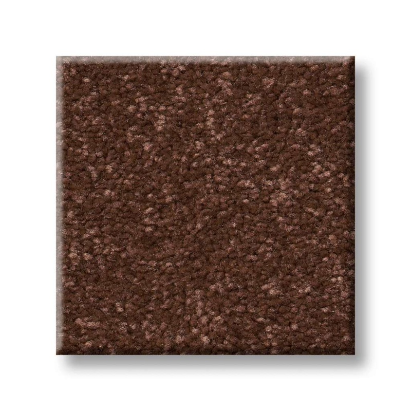 Pet Perfect Hard At Play Iii 15' Orange Oxide Polyester Carpet - Textured