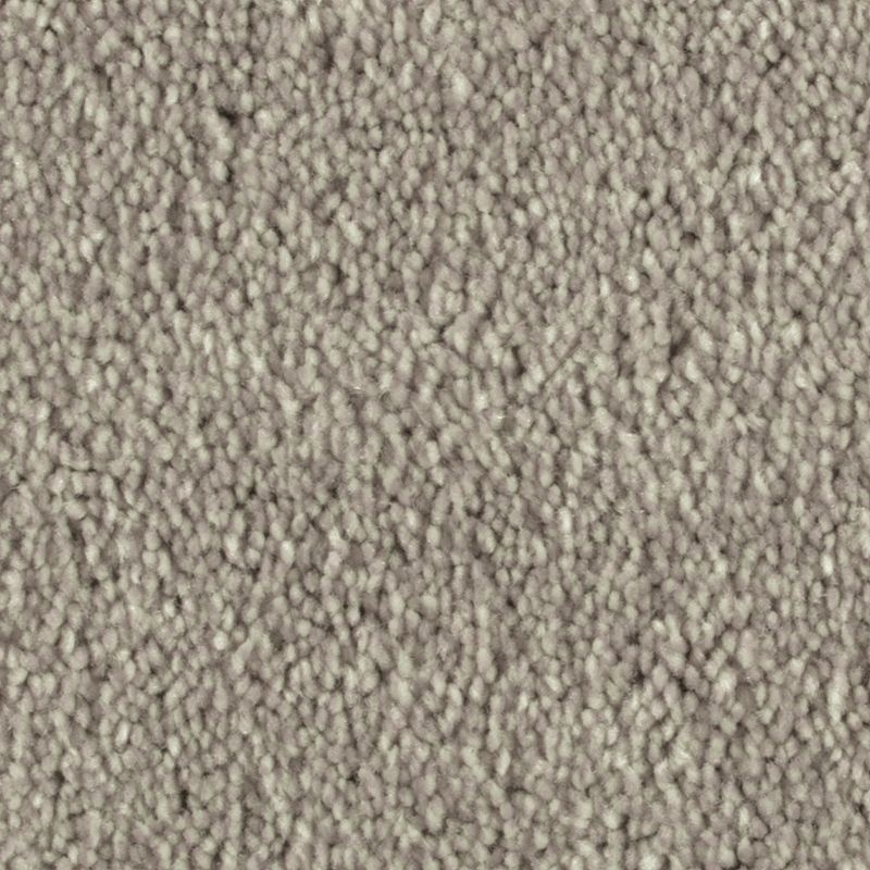 Distinct Beauty Ii Incense Polyester Carpet - Textured