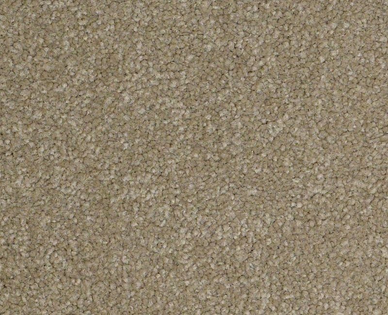 Bright Spirit Iii 12' Chinchilla Nylon Carpet - Textured