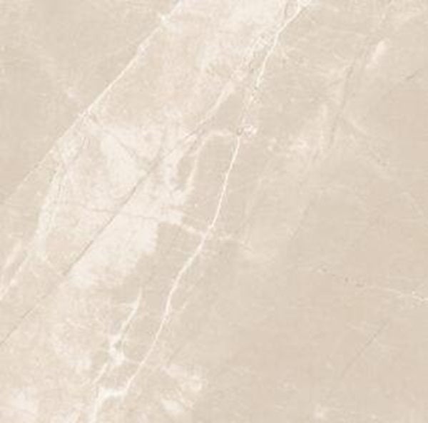 Classic Marbles Armani Grey Porcelain Tile - Polished - 24" X 24"
