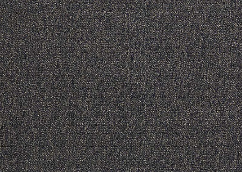 Scholarship Ii 26 Bark Nylon Carpet - Loop