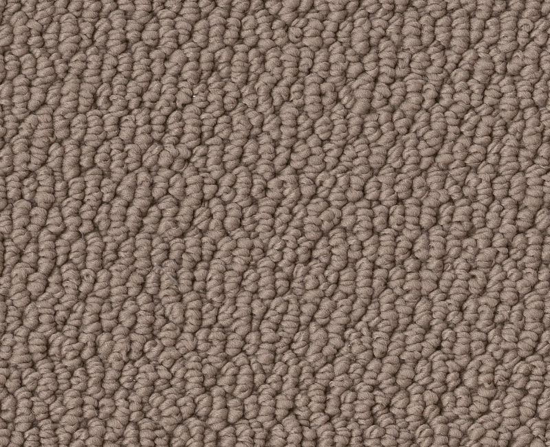 Captious Bird House Polyester Carpet - Pattern