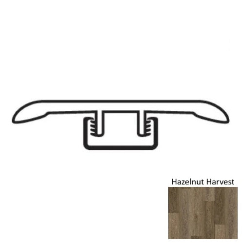Old World Hazelnut Harvest T Molding