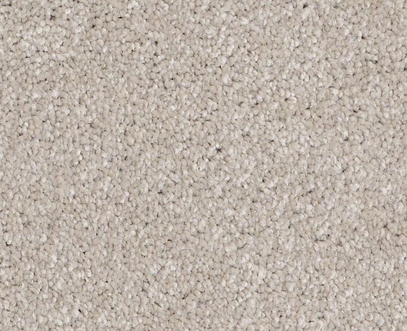 Anso Open I (S) Greige Nylon Carpet - Textured
