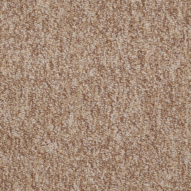 No Limits 26 Potential Nylon Carpet - Textured
