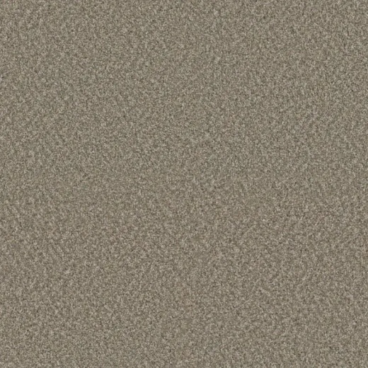 Floorever Succeed Establish Polyester Carpet - Textured