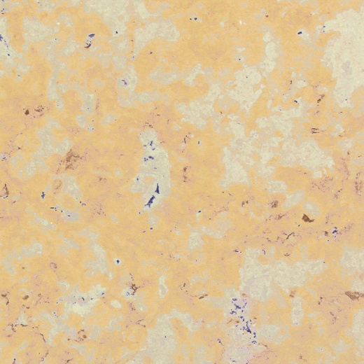 Jerusalem Ramon Gold Limestone Tile - Honed 16" X 16", Per Box: 10.68 Sqft