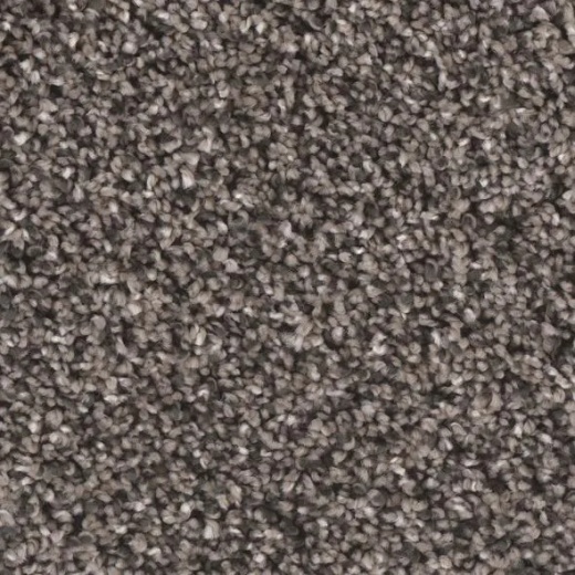 Floorever Visionary Jolly Polyester Carpet - Textured from Stone & Tile Shoppe, Inc.