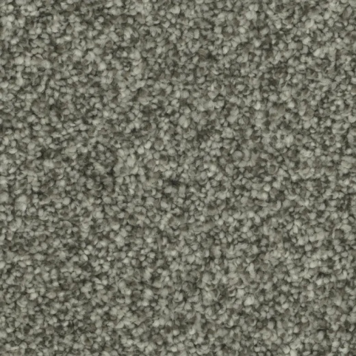 Microban Blessed Victorious Polyester Carpet - Textured