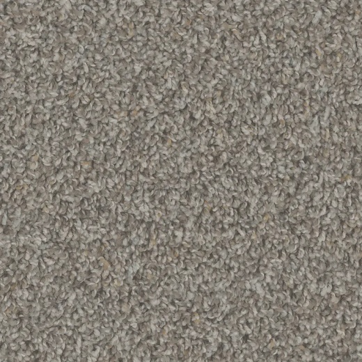 Floorever Petplus Sparta Natural Beauty Polyester Carpet - Textured