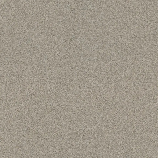 Floorever Surpass Go Beyond Polyester Carpet - Textured