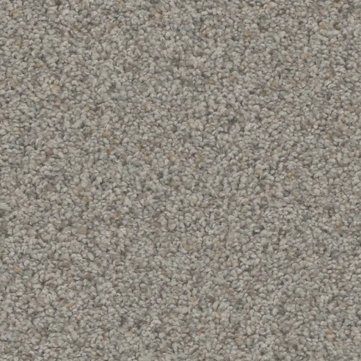 Floorever PetPlus Hydra Landscape Polyester Carpet - Textured