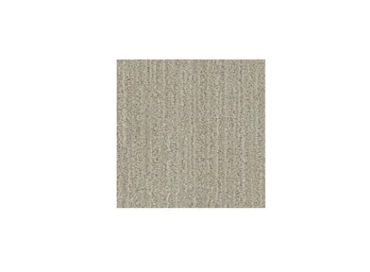 Floorever Petplus All Inclusive Eclectic Polyester Carpet - Pattern